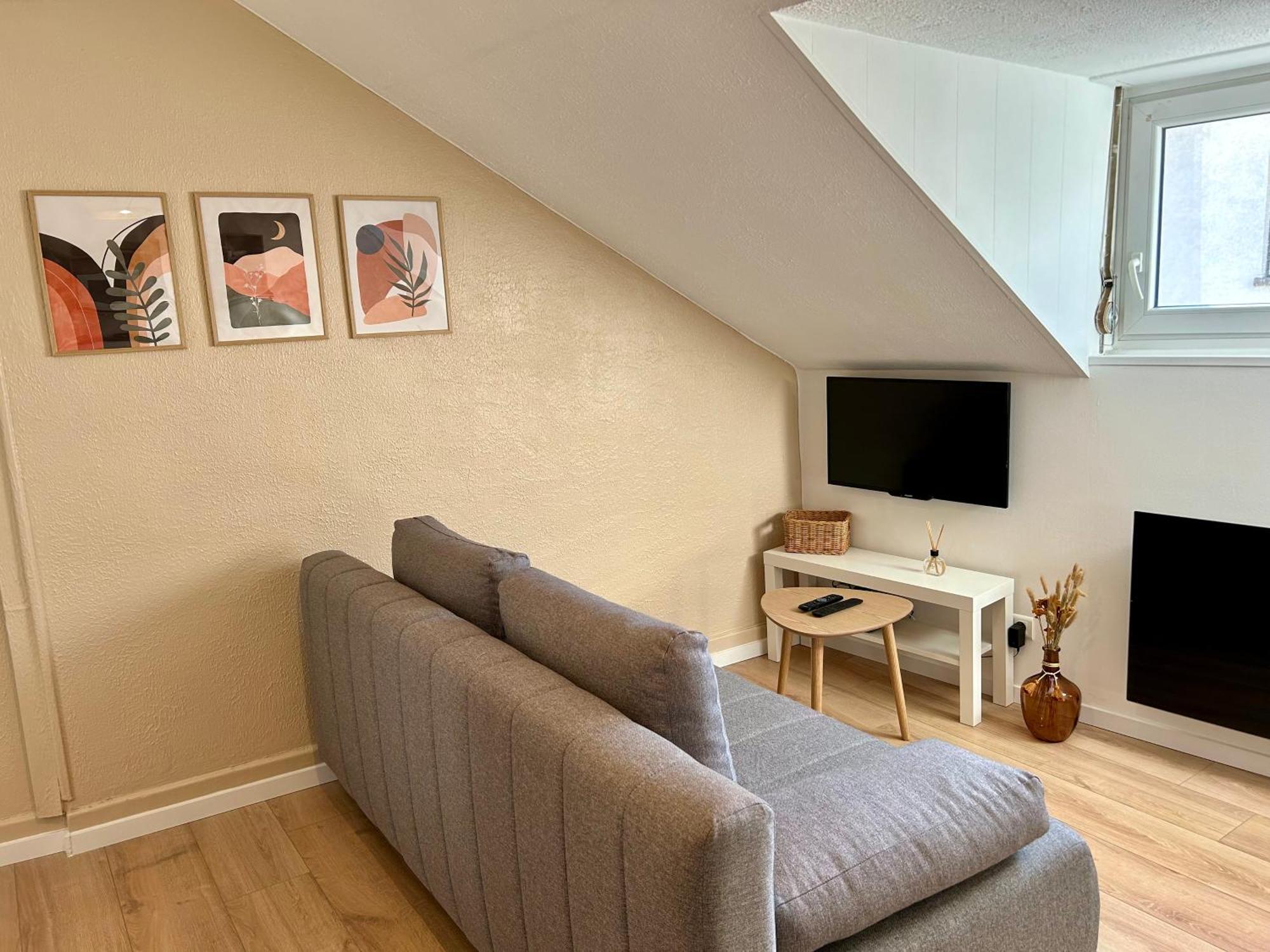 Apartment Douce Agathe - Duo-groupe, Chaleureux, Tram 200m, Centre 10min *