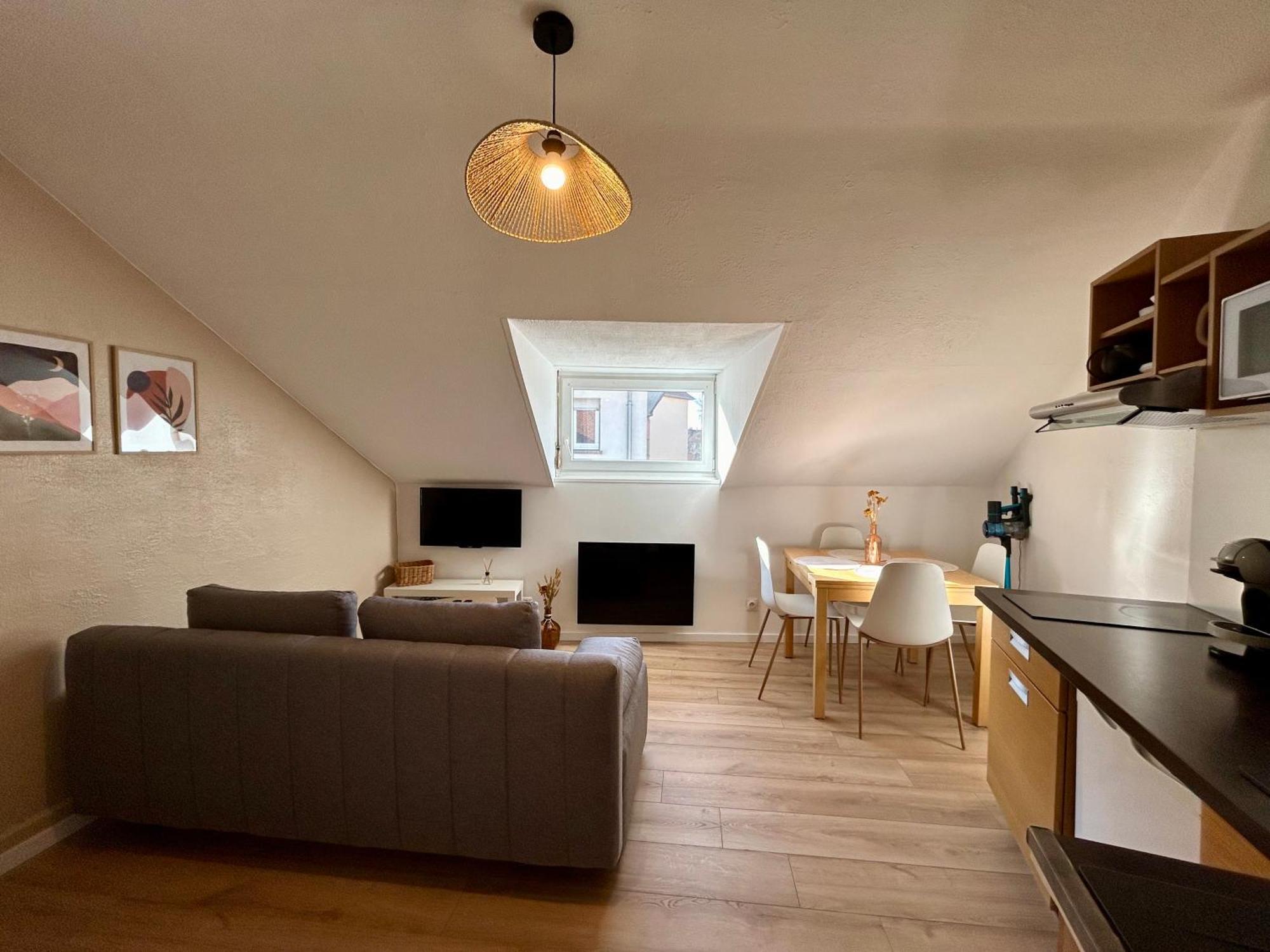 Douce Agathe - Duo-groupe, Chaleureux, Tram 200m, Centre 10min Apartment *
