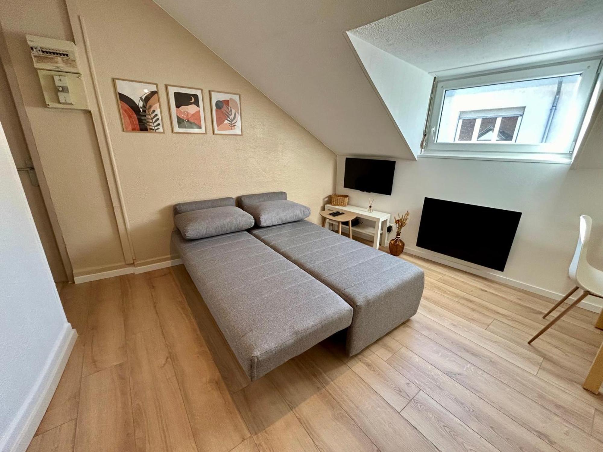 Douce Agathe - Duo-groupe, Chaleureux, Tram 200m, Centre 10min Apartment *